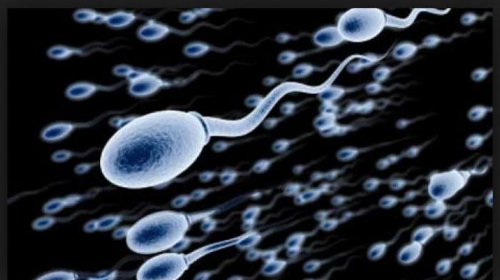 Humor: Beragama Yang Terbalik